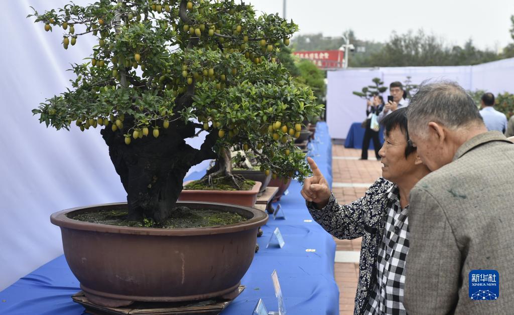 泊利娱乐可信不